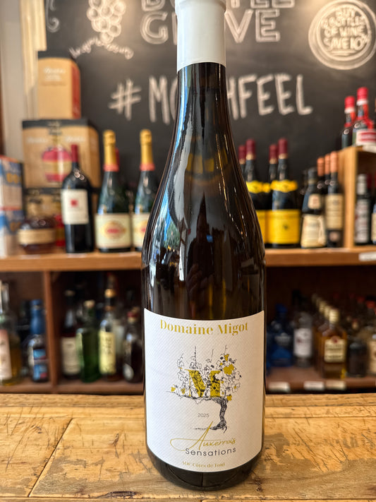 Domaine Migot Auxerrois 2025