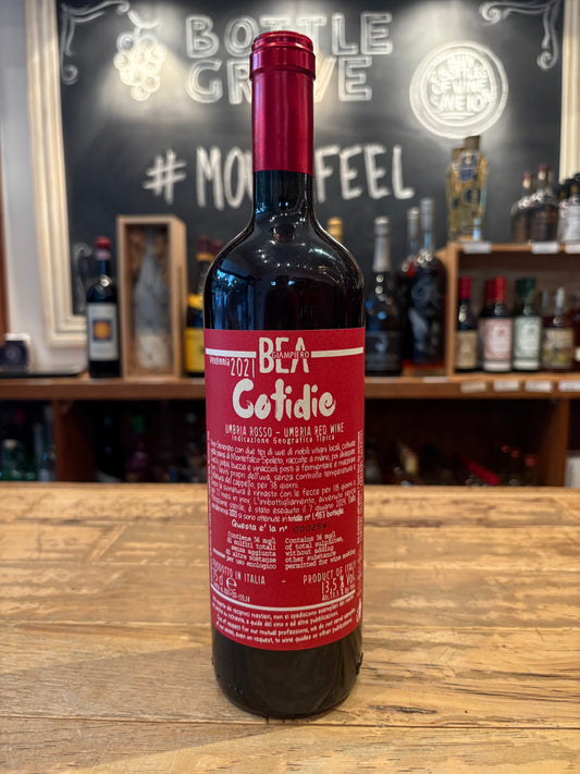 Paolo and Giampiero Bea Cotidie Umbria Rosso 2021